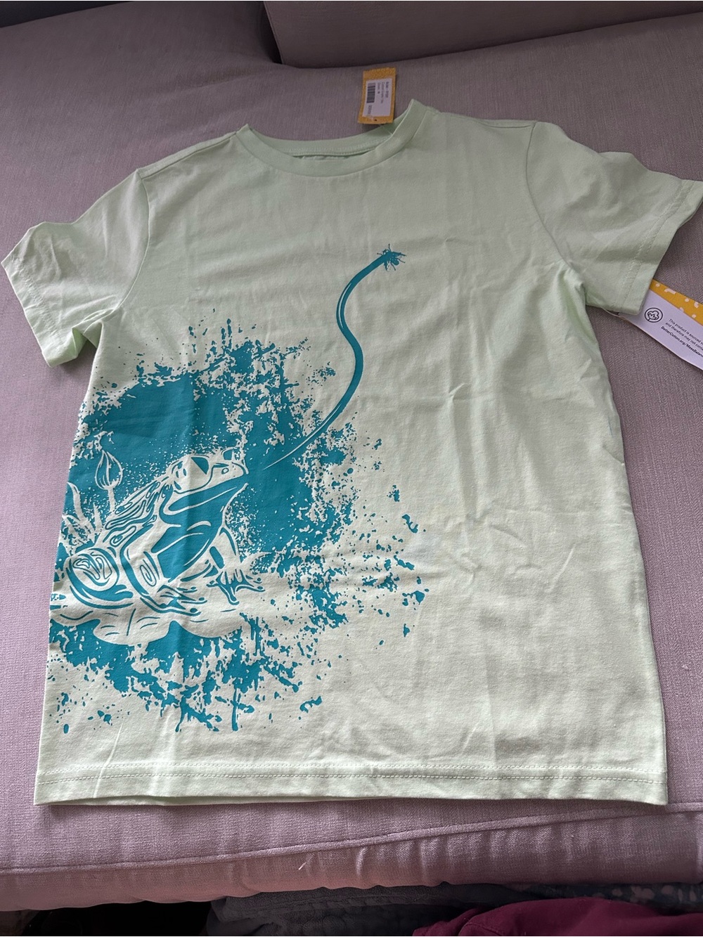 Kids Short Sleeve Tee with Teal Frog Graphic - Light Green